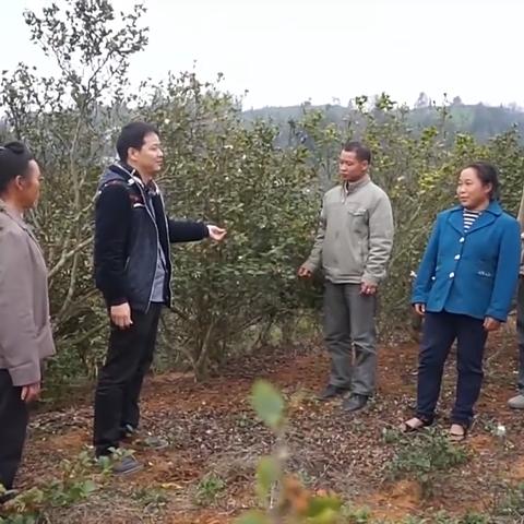 智网互联，编织未来生活的新篇章