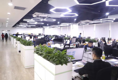 广州数据中心，技术革新、绿色发展与未来展望的典范