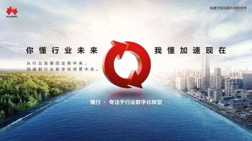 奇异互动，探索未来数字经济中的创新与挑战