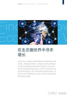 微尚网络，重塑数字世界的创新与卓越之路