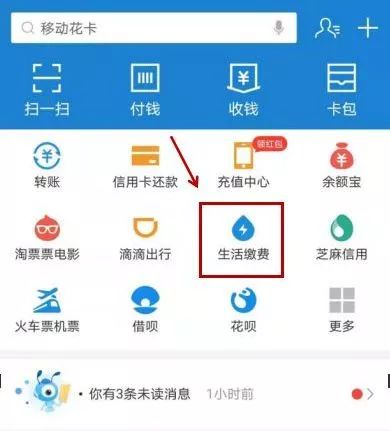 域名费可以自己去交吗？在网上可以交吗？