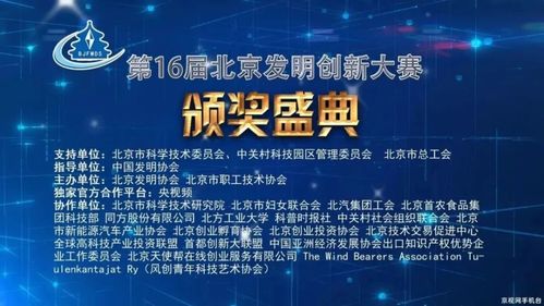 谱写数字时代的催化篇章，探讨凑点网络的创新潜力与未来展望