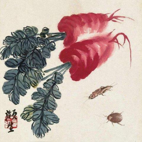 萝卜数据，揭示蔬菜界的数据宝藏