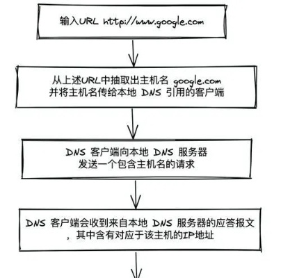 下面关于IP地址与域名之间关系的叙述中正确的是，解析与探讨