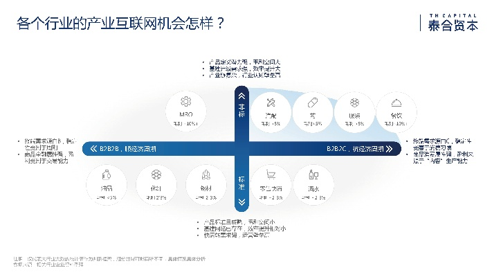 旗舰网络，定义、优势与未来展望