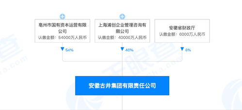 网联未来，讯启巅峰，深度解析网讯中国的变革与发展