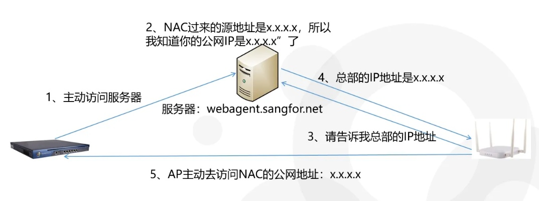 PP主机域名网，全面解析与实战指南