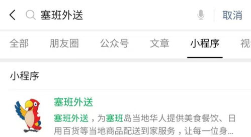 伊朗域名注册指南，选择最佳平台与注意事项