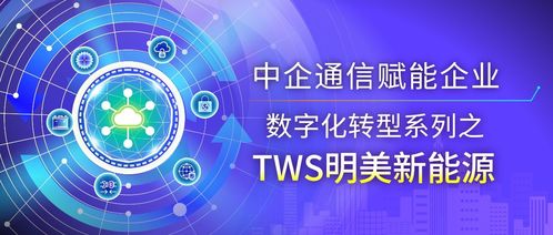 焦点网络科技，创新引领未来，打造数字时代新标杆
