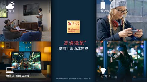 E酷网络，探索高科技时代的全新数字生活体验