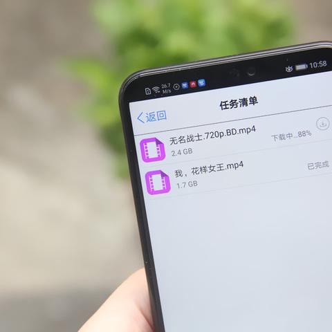 局域网中服务器IP地址与域名绑定的实现与优化策略