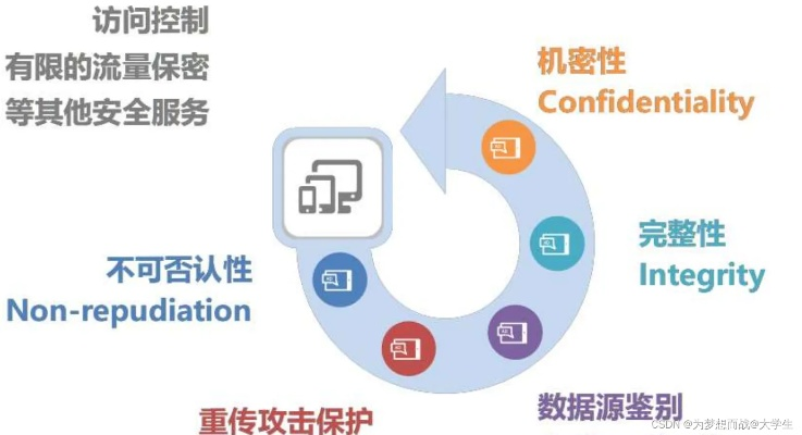 新域名备案代理备案，安全与效率的权衡