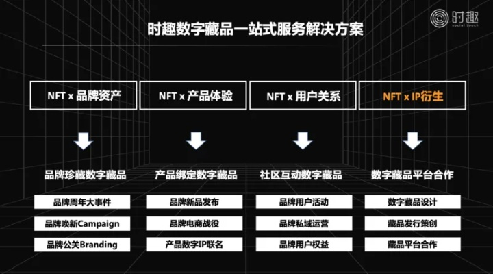 如何在数字时代选择最佳域名频道，从品牌塑造到用户体验的全面解析