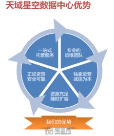 云主机与主机租用托管，新手入行的明智选择