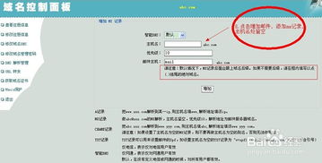 各位子域名解析的详细步骤与注意事项