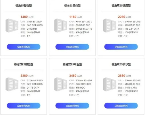 中国服务器租用网，优势、局限与选择指南