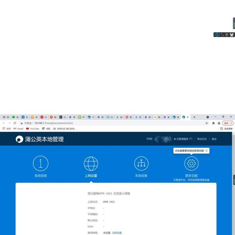 域名解析能否到内网IP，技术原理、应用场景与安全性探讨