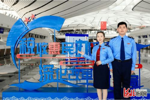 智威科技，创新驱动未来，科技引领变革