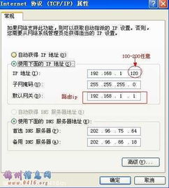 域名输入正确却显示域名有误或站点访问失败，原因解析与解决方案
