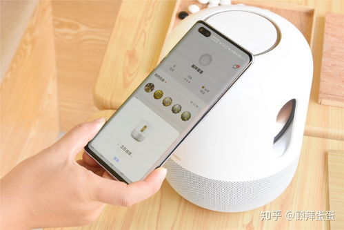CC域名，探索最便宜的选择