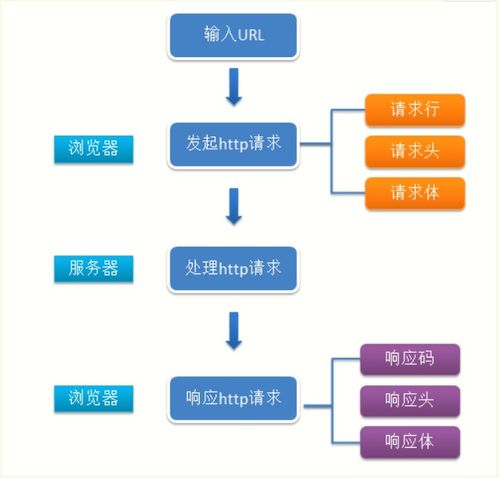 域名解析与主机名识别，深入解析AABCBXYZCCOMDCN