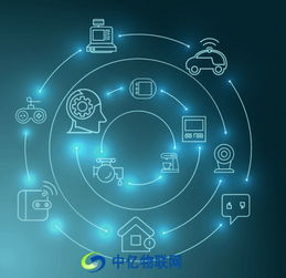 网盾科技，构建数字化时代网络安全坚实盾牌