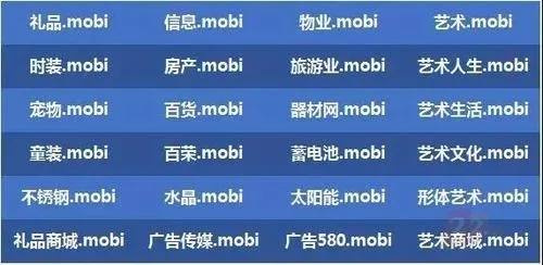 手机域名.MOBI的价值与未来展望
