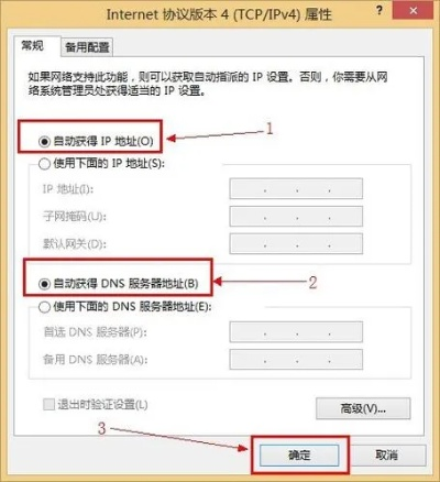 在线等AS3，从域名获取IP地址的详细解析