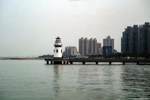 和谐之旅，探索都市云服务的未来