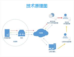 DDNSIP，每步动态域名解析软件详解