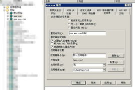 解析301重定向后为何仍出现两个域名，原因与解决方案