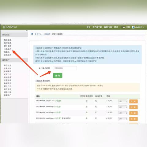 域名国外注册，服务器IP为中国，是否需要备案？