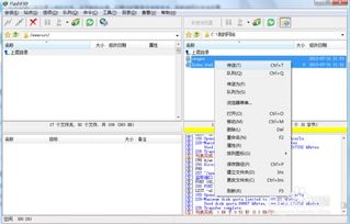 各位高手请问哪里有支持FTP上传的免费空间呀？我只要上传几个简历