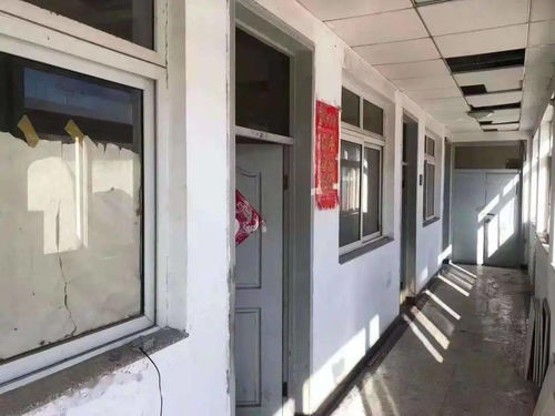 如何经济实惠且稳定地申请网站域名和空间