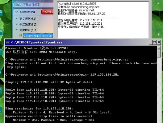 解析使用花生壳远程监控得到的域名无法打开的原因及解决方案