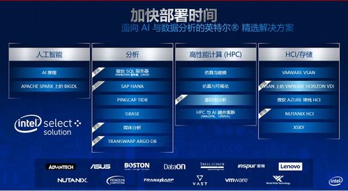麦云网络，塑造未来互联网的坚实基石