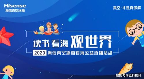 易云网络，重塑数字世界的云端力量