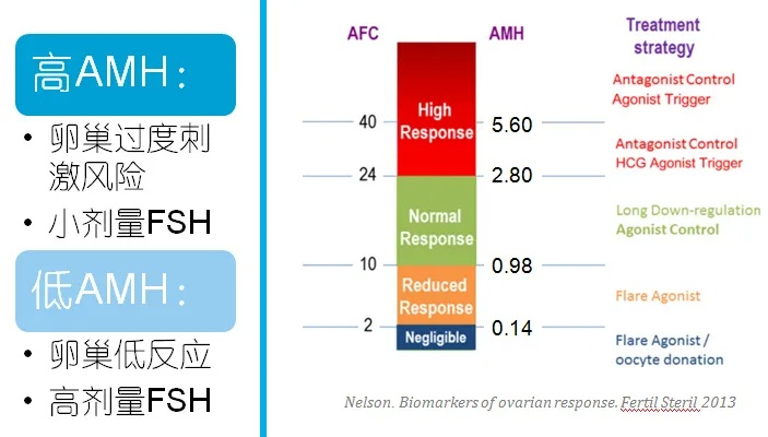 AMH官网，解锁高效精准的数据洞察
