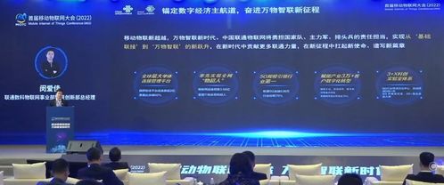 新天域互联，重塑全球数字桥梁，赋能企业国际化战略