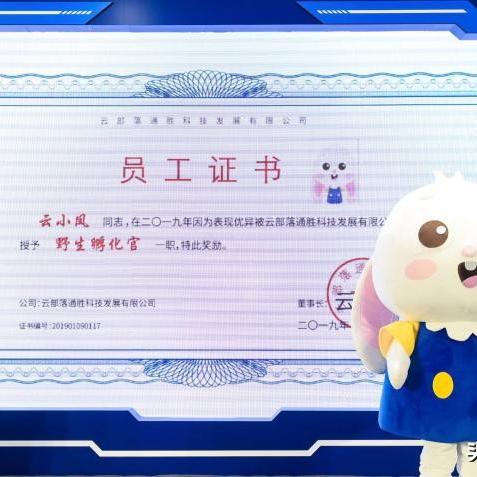 巨牛云，重塑云计算的未来格局