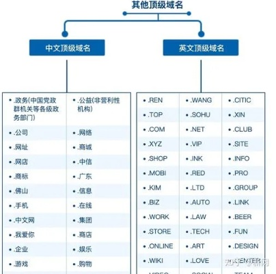 如何有效展示你的网站域名，提升在线可见性