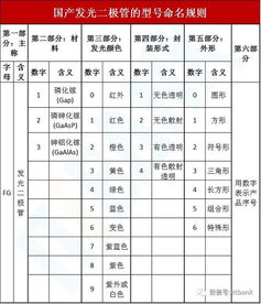 国内域名命名的规则是什么