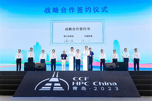 紫田网络，编织数字时代的智慧网络，引领未来办公新风尚