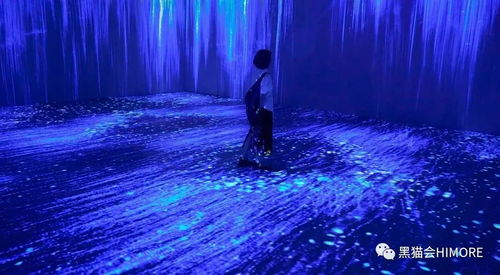 紫云官网，探索数字时代的云端艺术与科技交融