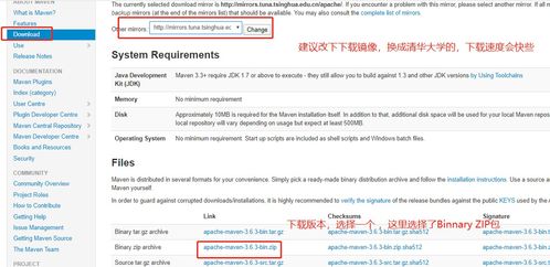 申请完免费域名后，从零开始构建你的个人或企业网站