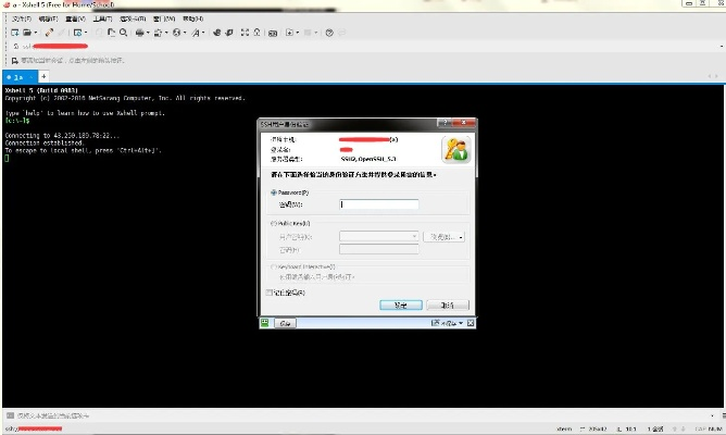 简易上手的WDCP教程，从安装到管理的全方位指南