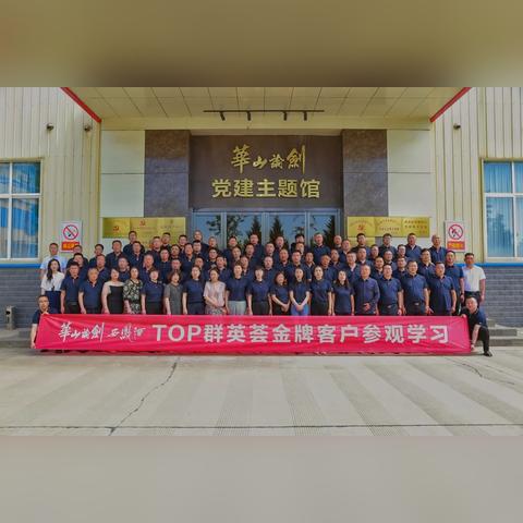 群英官网，聚力创新，共筑未来数字新生态