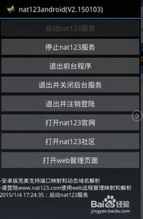 解决NAT123域名解析问题的全面指南