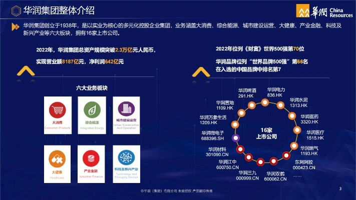 华东地区网络新时代，华东网官网引领数字化进程