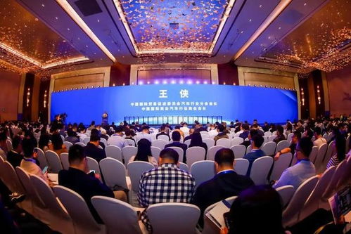 山东青岛傲盾官网，创新科技引领安全防护新时代